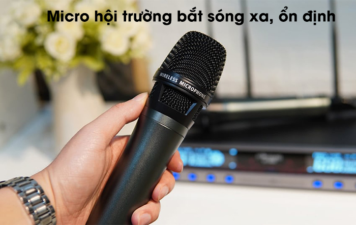 Loa Giả Đá