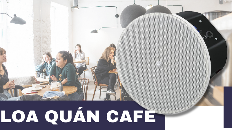 Loa Giả Đá