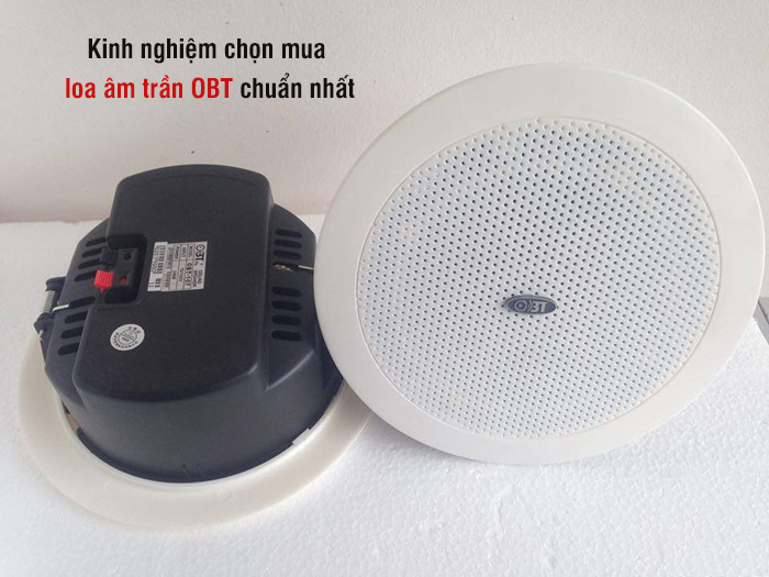 Loa Giả Đá