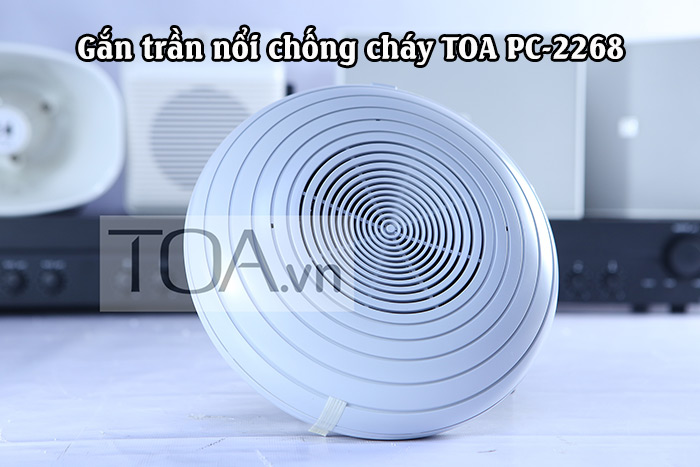 Loa Giả Đá