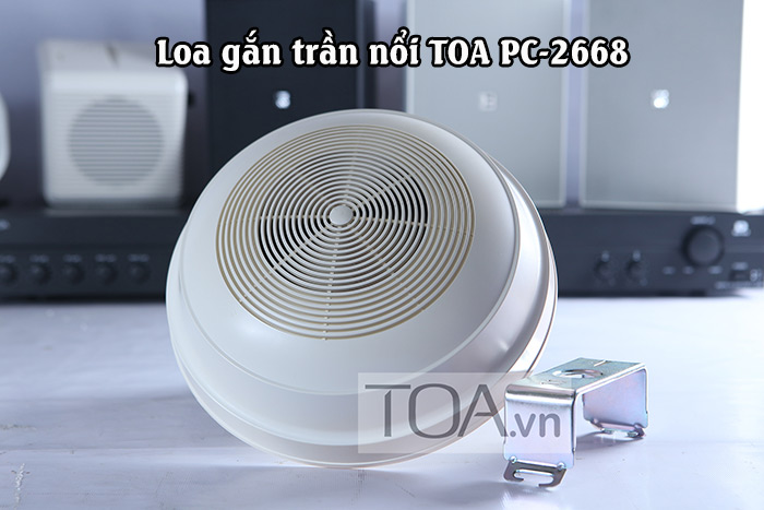 Loa Giả Đá