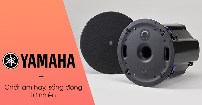 Loa Giả Đá