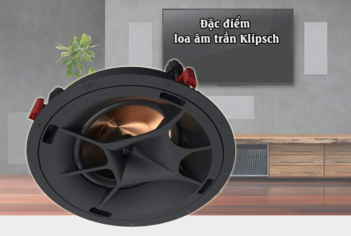 Loa Giả Đá