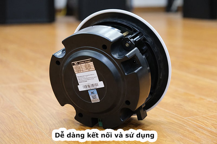 Loa Giả Đá
