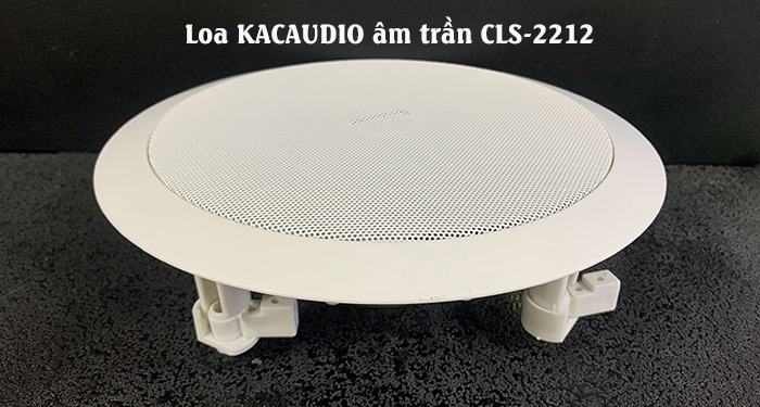 Loa Giả Đá