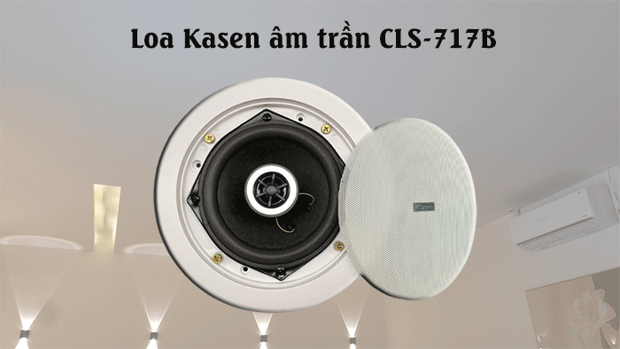 Loa Giả Đá