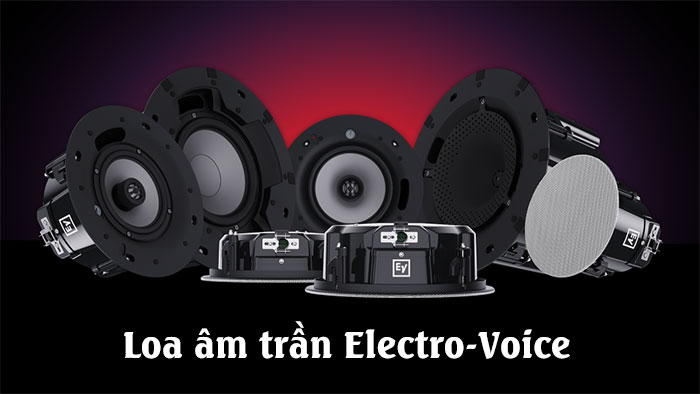 Loa Giả Đá