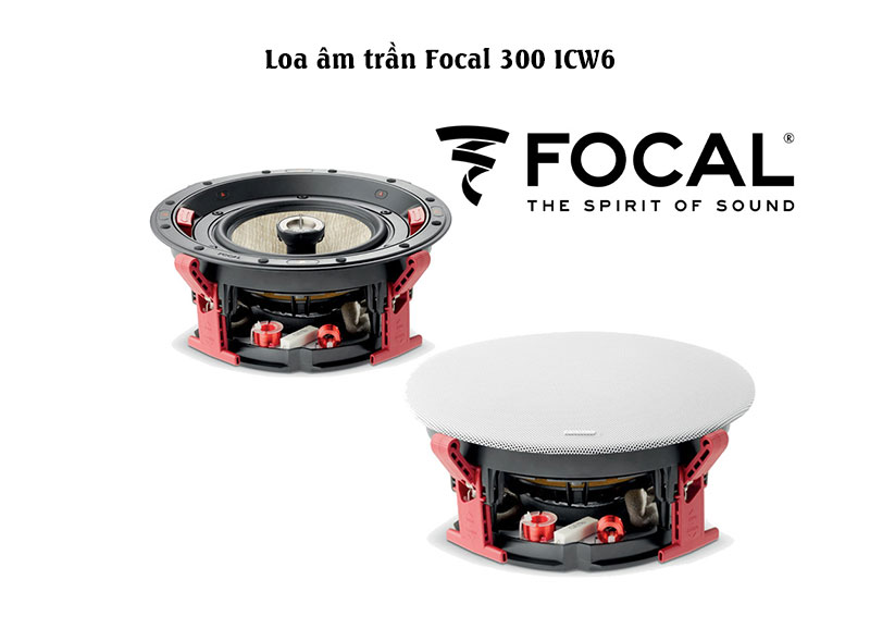 Loa Giả Đá