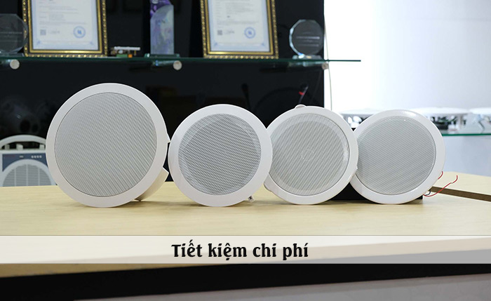 Loa Giả Đá