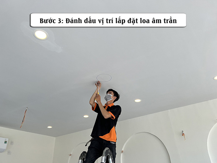 Loa Giả Đá