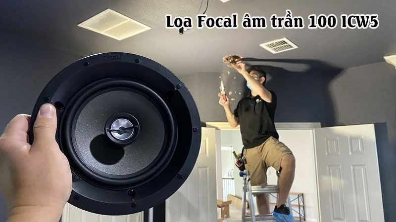 Loa Giả Đá