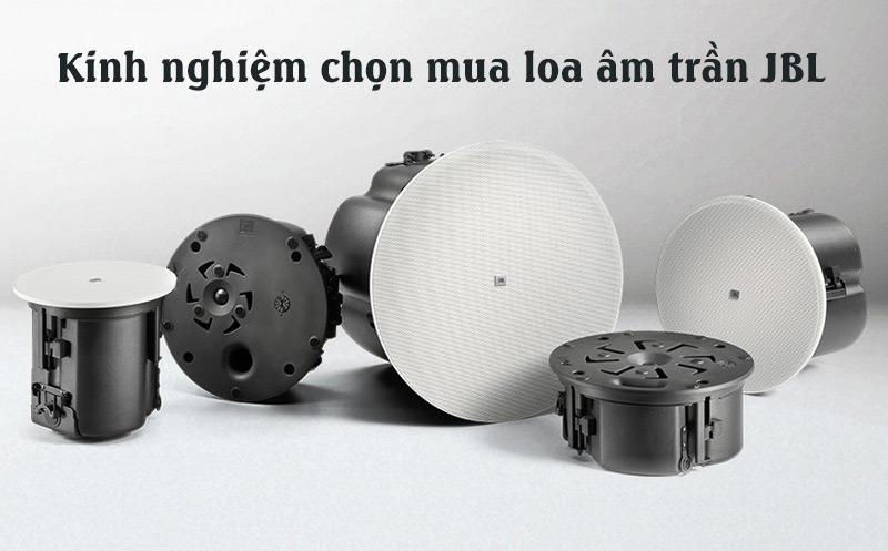 Loa Giả Đá