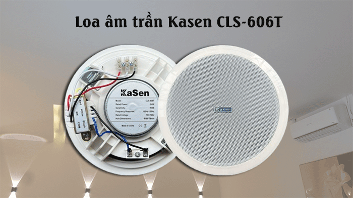 Loa Giả Đá