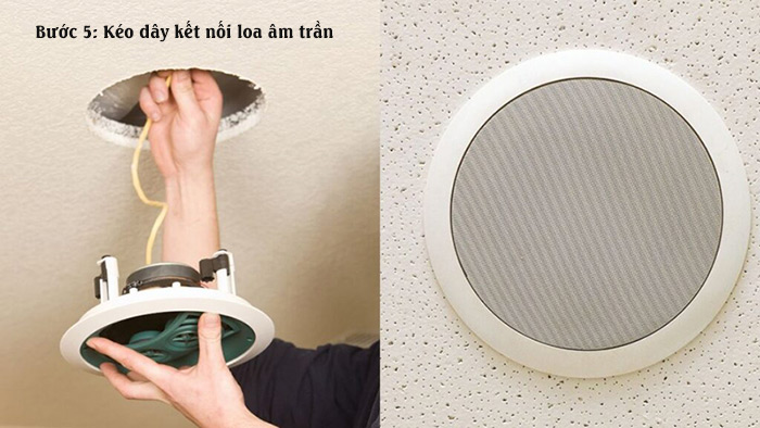 Loa Giả Đá