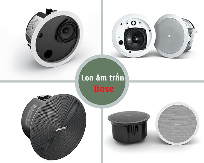Loa Giả Đá