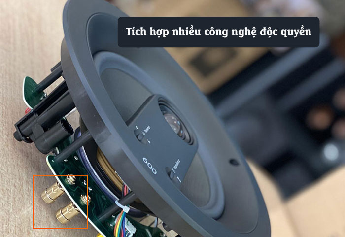 Loa Giả Đá