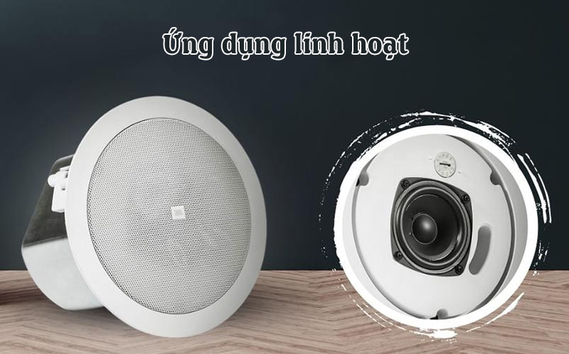 Loa Giả Đá