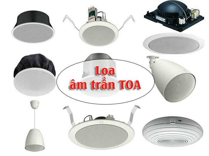 Loa Giả Đá