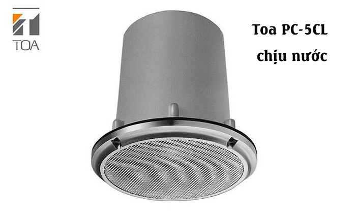 Loa Giả Đá