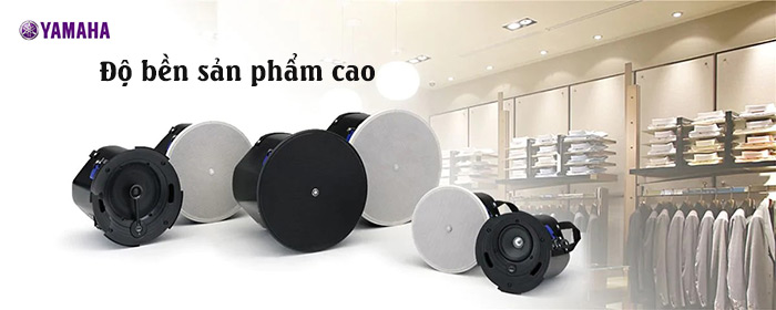 Loa Giả Đá